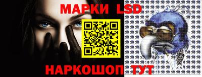 гидропоника Долгопрудный